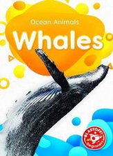 Ocean Animals Whales