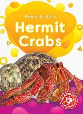 Favorite Pets Hermit Crabs
