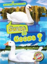 Spotting Differences Swan or Goose