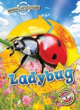 Animal Life Cycles Ladybug