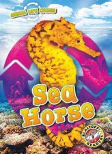 Animal Life Cycles Sea Horse