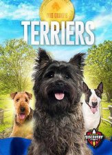 Dog Groups Terriers