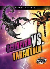 Animal Battles Scorpion VS Tarantula