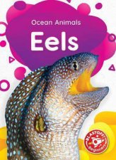 Ocean Animals Eels