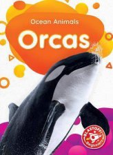 Ocean Animals Orcas