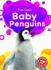 Too Cute Baby Penguins
