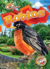 Backyard Birds Robins