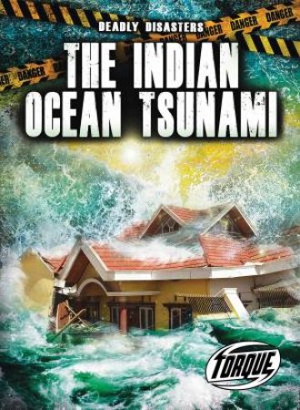 Deadly Disasters: The Indian Ocean Tsunami
