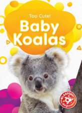 Too Cute Baby Koalas