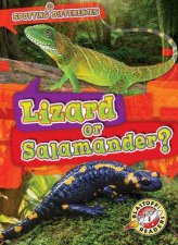 Spotting Differences Lizard or Salamander