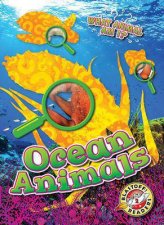 What Animal Am I Ocean Animals