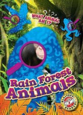 What Animal Am I Rain Forest Animals