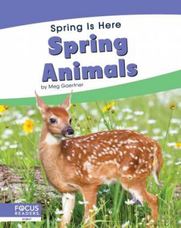 Spring Is Here: Spring Animals by Meg Gaertner