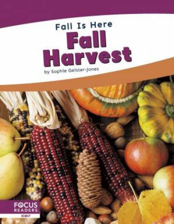 Fall is Here: Fall Harvest by SOPHIE GEISTER-JONES