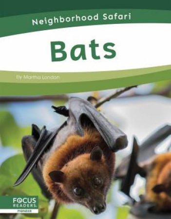 Neighborhood Safari: Bats by MARTHA LONDON