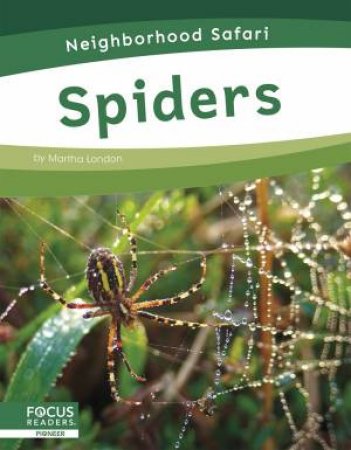 Neighborhood Safari: Spiders by MARTHA LONDON