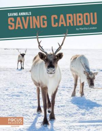 Saving Animals: Saving Caribou by MARTHA LONDON