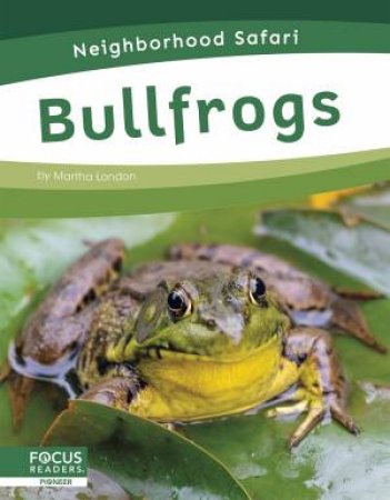 Neighborhood Safari: Bullfrogs by MARTHA LONDON
