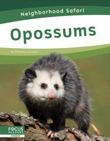 Neighborhood Safari: Opossums by MARTHA LONDON