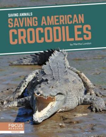 Saving Animals: Saving American Crocodiles by MARTHA LONDON