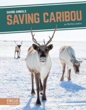 Saving Animals Saving Caribou