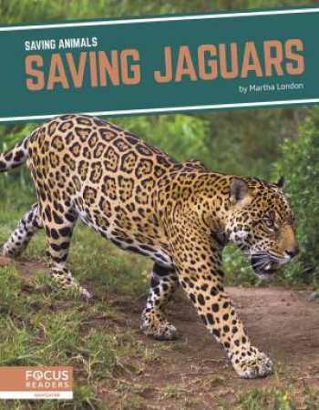 Saving Animals: Saving Jaguars by MARTHA LONDON