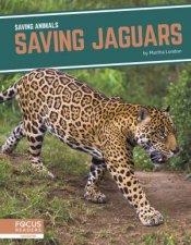 Saving Animals Saving Jaguars