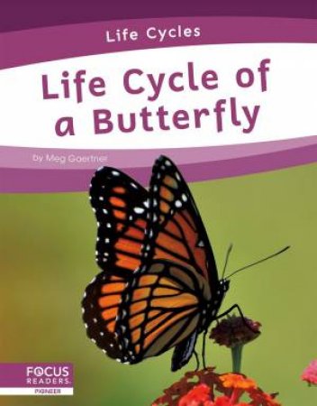 Life Cycles: Life Cycle of a Butterfly by Meg Gaertner