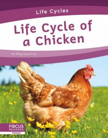 Life Cycles: Life Cycle of a Chicken by Meg Gaertner