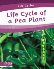 Life Cycles Life Cycle of a Pea Plant
