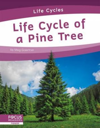 Life Cycles: Life Cycle of a Pine Tree by Meg Gaertner