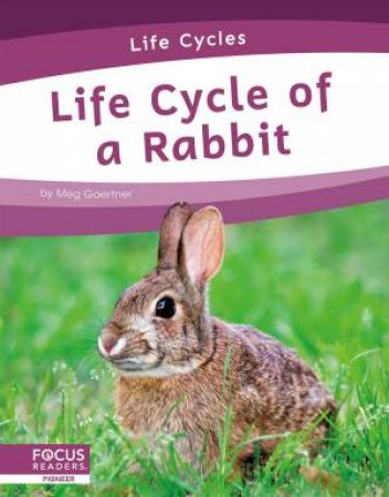 Life Cycles: Life Cycle of a Rabbit by Meg Gaertner