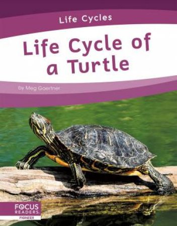 Life Cycles: Life Cycle of a Turtle by Meg Gaertner
