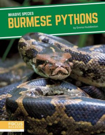 Invasive Species: Burmese Pythons by Martha London