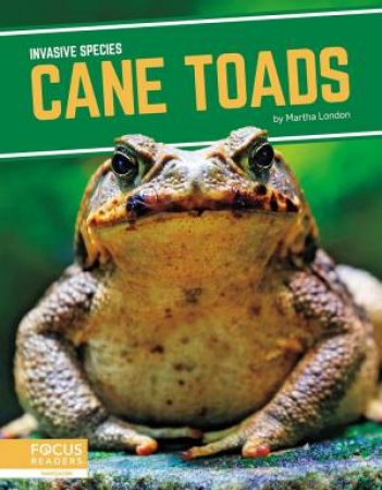Invasive Species: Cane Toads by Martha London