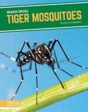 Invasive Species Tiger Mosquitoes