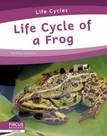 Life Cycles: Life Cycle of a Frog by Meg Gaertner
