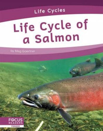 Life Cycles: Life Cycle of a Salmon by Meg Gaertner