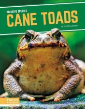 Invasive Species Cane Toads
