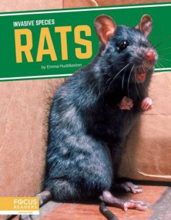 Invasive Species: Rats by Martha London