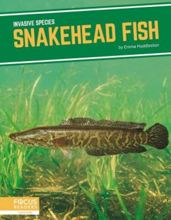 Invasive Species: Snakehead Fish by Martha London
