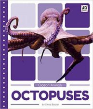 Ocean Animals Octopuses