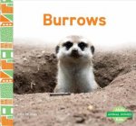 Animal Homes Burrows