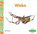 Animal Homes Webs