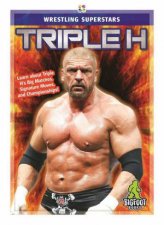 Superstars Of Wrestling Triple H