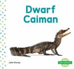 Mini Animals Dwarf Caiman