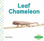 Mini Animals Leaf Chameleon