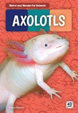 Weird And Wonderful Animals Axolotls