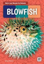 Weird And Wonderful Animals Blowfish
