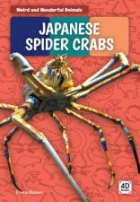 Weird And Wonderful Animals Japanese Spider Crabs